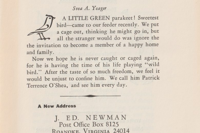 The Web - Number 3, February 1966 - Page 1